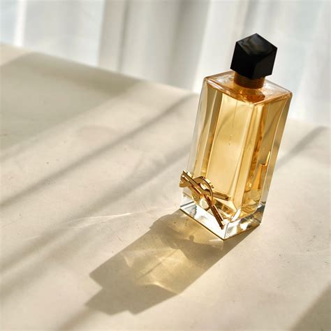 YSL nữ review